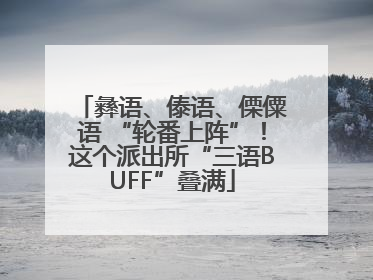 彝语、傣语、傈僳语 “轮番上阵”！这个派出所“三语BUFF”叠满