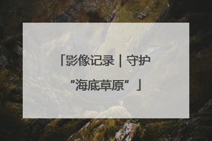 影像记录｜守护“海底草原”