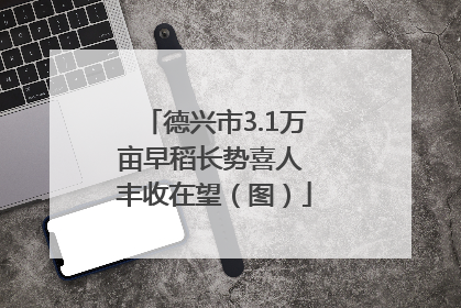 德兴市3.1万亩早稻长势喜人 丰收在望（图）