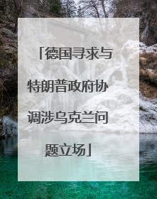 德国寻求与特朗普政府协调涉乌克兰问题立场