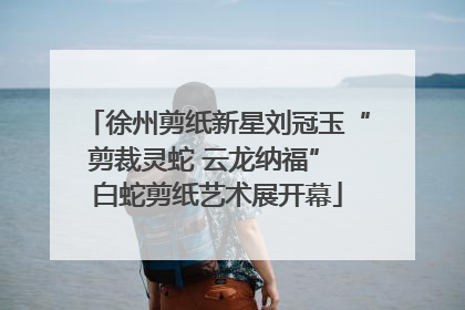 徐州剪纸新星刘冠玉“剪裁灵蛇 云龙纳福” 白蛇剪纸艺术展开幕