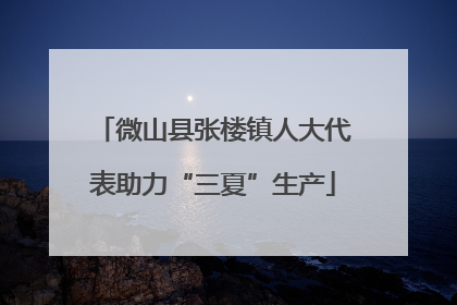 微山县张楼镇人大代表助力“三夏”生产
