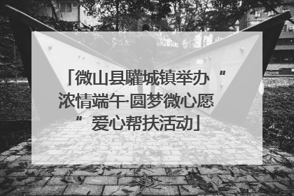 微山县驩城镇举办“浓情端午·圆梦微心愿”爱心帮扶活动