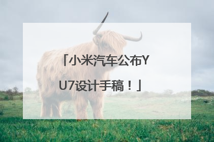 小米汽车公布YU7设计手稿！