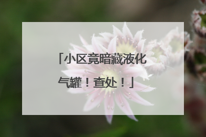小区竟暗藏液化气罐！查处！