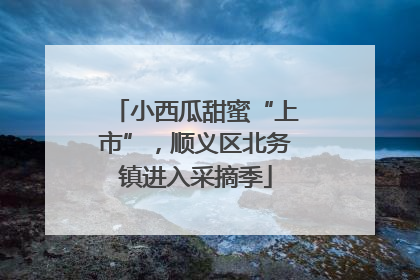 小西瓜甜蜜“上市”，顺义区北务镇进入采摘季
