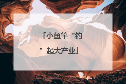 小鱼竿“钓”起大产业