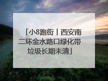 小8跑街丨西安南二环金水路口绿化带垃圾长期未清