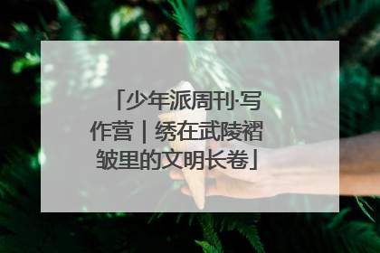 少年派周刊·写作营｜绣在武陵褶皱里的文明长卷