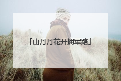 山丹丹花开拥军路