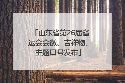 山东省第26届省运会会徽、吉祥物、主题口号发布