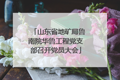 山东省地矿局鲁南院华鲁工程党支部召开党员大会