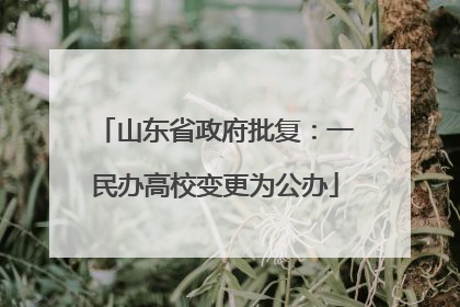 山东省政府批复：一民办高校变更为公办