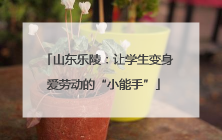 山东乐陵：让学生变身爱劳动的“小能手”