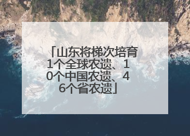 山东将梯次培育1个全球农遗、10个中国农遗、46个省农遗