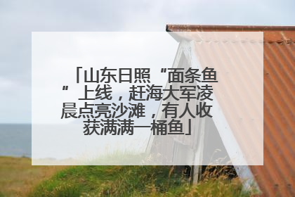 山东日照“面条鱼”上线，赶海大军凌晨点亮沙滩，有人收获满满一桶鱼