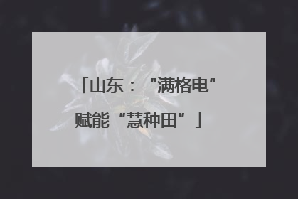 山东：“满格电”赋能“慧种田”