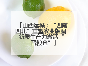 山西运城：“四南四北”重塑农业版图 新质生产力激活“三晋粮仓”