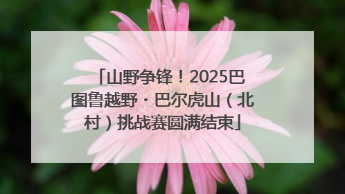 山野争锋！2025巴图鲁越野・巴尔虎山（北村）挑战赛圆满结束