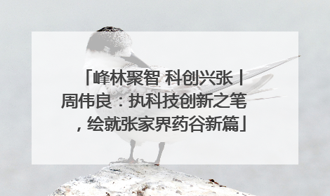 峰林聚智 科创兴张丨周伟良：执科技创新之笔，绘就张家界药谷新篇