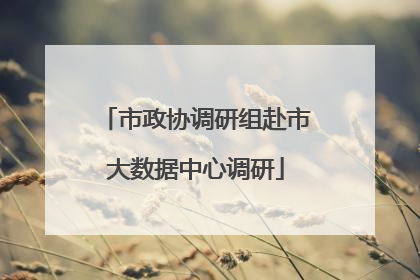 市政协调研组赴市大数据中心调研