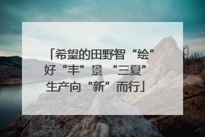 希望的田野智“绘”好“丰”景 “三夏”生产向“新”而行