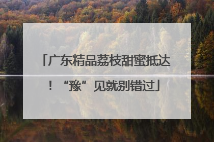 广东精品荔枝甜蜜抵达！“豫”见就别错过