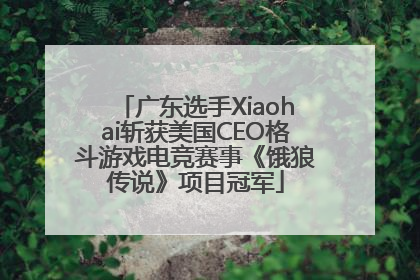 广东选手Xiaohai斩获美国CEO格斗游戏电竞赛事《饿狼传说》项目冠军
