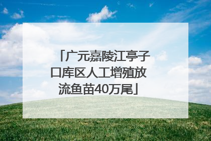 广元嘉陵江亭子口库区人工增殖放流鱼苗40万尾