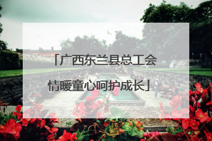 广西东兰县总工会情暖童心呵护成长