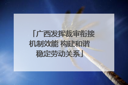 广西发挥裁审衔接机制效能 构建和谐稳定劳动关系