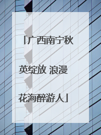 广西南宁秋英绽放 浪漫花海醉游人