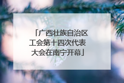 广西壮族自治区工会第十四次代表大会在南宁开幕