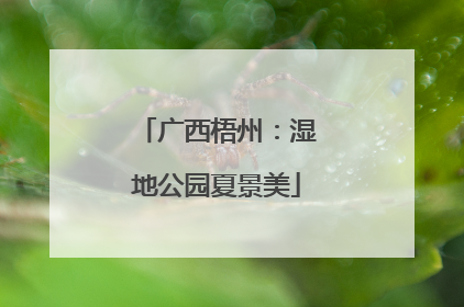 广西梧州：湿地公园夏景美