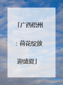 广西梧州：荷花绽放迎盛夏