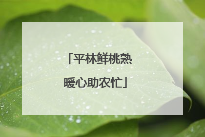 平林鲜桃熟 暖心助农忙