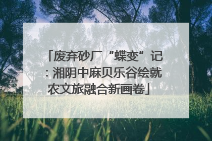 废弃砂厂“蝶变”记：湘阴中麻贝乐谷绘就农文旅融合新画卷