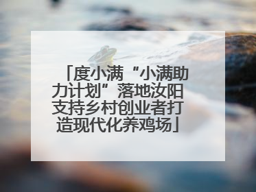 度小满“小满助力计划”落地汝阳支持乡村创业者打造现代化养鸡场