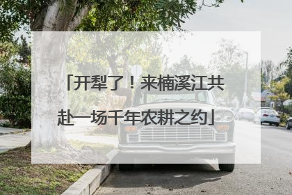 开犁了！来楠溪江共赴一场千年农耕之约