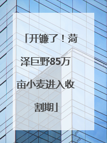 开镰了！菏泽巨野85万亩小麦进入收割期
