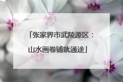 张家界市武陵源区：山水画卷铺就通途