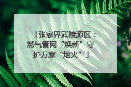张家界武陵源区：燃气管网“焕新”守护万家“烟火”