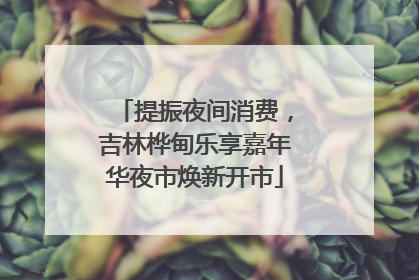 提振夜间消费，吉林桦甸乐享嘉年华夜市焕新开市