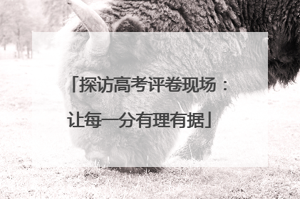 探访高考评卷现场：让每一分有理有据