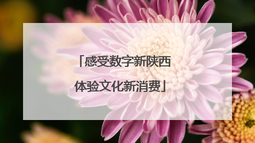 感受数字新陕西 体验文化新消费
