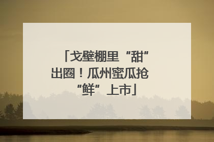 戈壁棚里“甜”出圈！瓜州蜜瓜抢“鲜”上市
