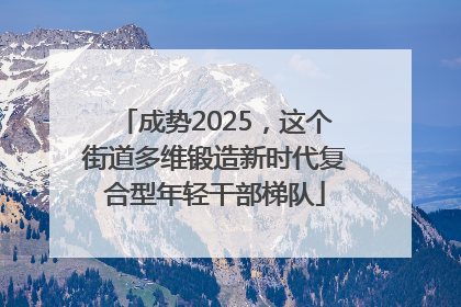 成势2025，这个街道多维锻造新时代复合型年轻干部梯队