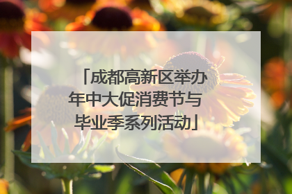 成都高新区举办年中大促消费节与毕业季系列活动