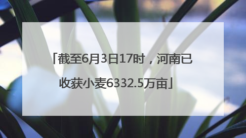 截至6月3日17时，河南已收获小麦6332.5万亩
