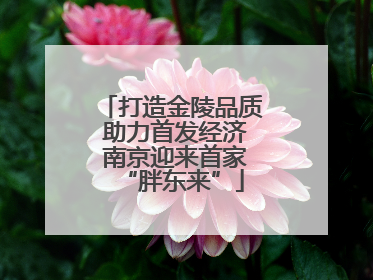 打造金陵品质 助力首发经济 南京迎来首家“胖东来”